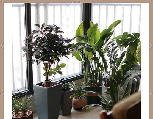 如何控制室内花卉的疯长现象（室内花卉种植技巧，让你的花儿保持适度生长）-第1张图片-绿意生活