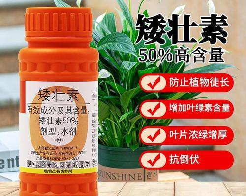 如何控制室内花卉的疯长现象（室内花卉种植技巧，让你的花儿保持适度生长）-第3张图片-绿意生活
