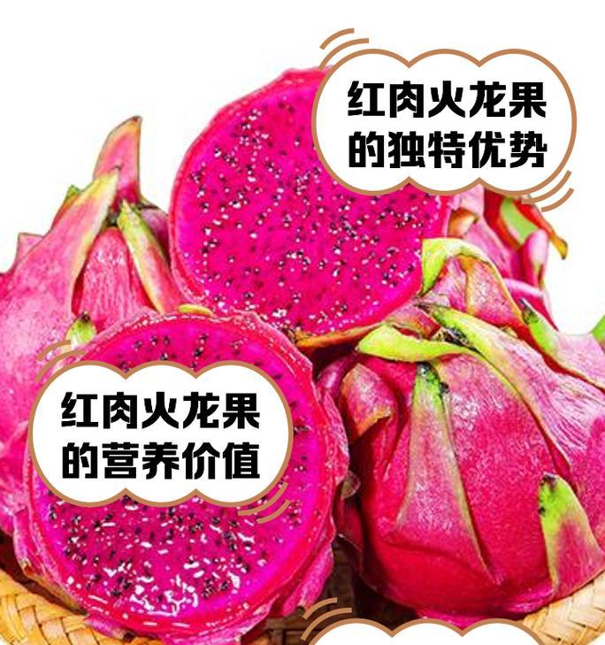 火龙果的授粉时间与方式（提高产量，需知授粉关键）-第1张图片-绿意生活