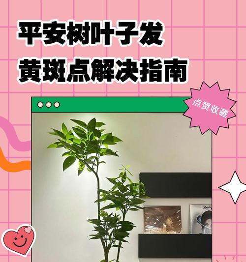 平安树叶子变小的原因与影响（探究平安树叶子缩小的现象以及其对生态环境的影响）-第3张图片-绿意生活