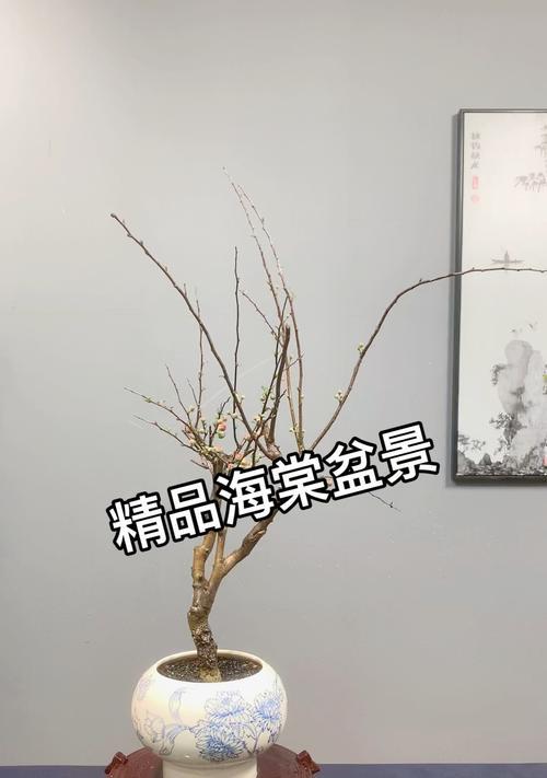 修剪技巧（精准修剪让花朵更艳丽细心呵护打造花香四溢）-第2张图片-绿意生活
