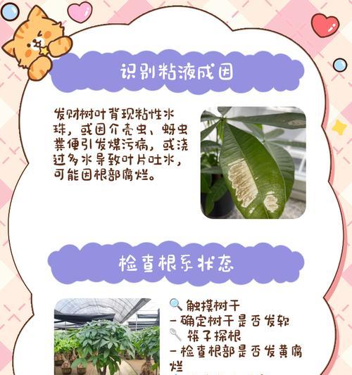 如何处理以招材树长虫子问题（害虫侵袭无处遁形，杜绝以招材树长虫子的威胁）-第2张图片-绿意生活