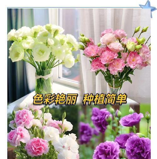 桔梗的花语和寓意（探究桔梗的文化内涵，解读花语与寓意）-第3张图片-绿意生活