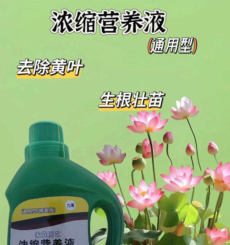水培营养水的调配与应用（探索水培植物生长的奥秘，提升农作物品质与产量）-第2张图片-绿意生活