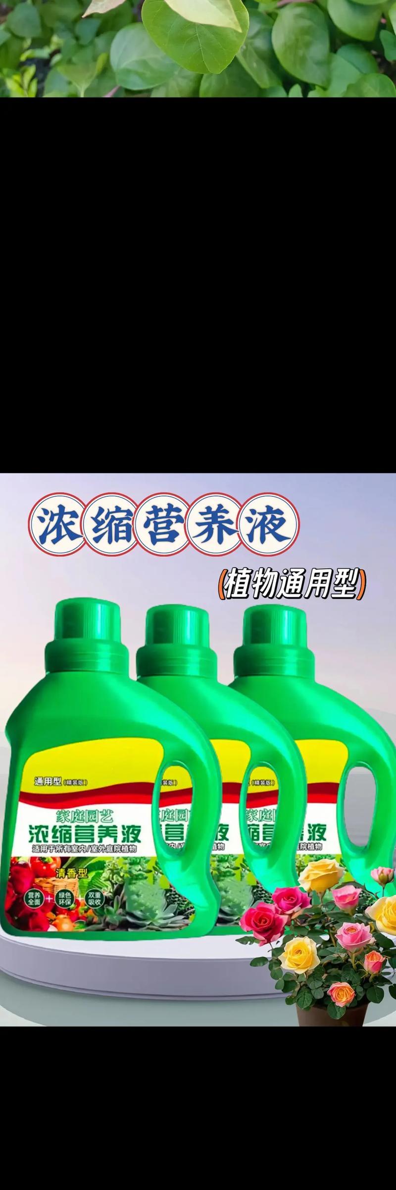 水培营养水的调配与应用（探索水培植物生长的奥秘，提升农作物品质与产量）-第3张图片-绿意生活