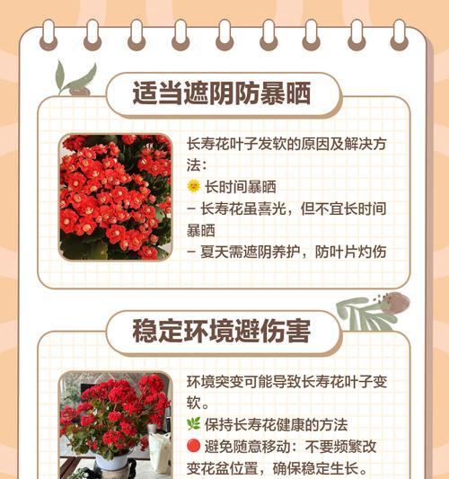 长寿花生病了怎么办？挽救长寿花生健康的方法（关注长寿花生健康，让其绽放更多美丽）-第2张图片-绿意生活