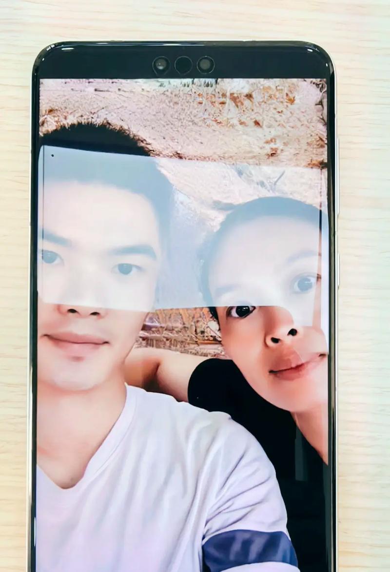 家里养翠兰禁忌与合适放置位置（让你的翠兰更健康生长，远离忌讳）-第2张图片-绿意生活