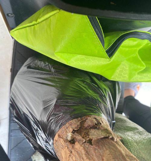 探究发财树生锈的原因及解决方法（为什么发财树会生锈？如何有效防止？）-第2张图片-绿意生活