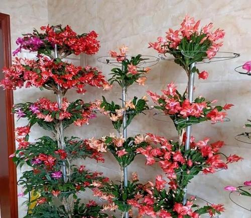 死不了花的室内养护指南（忙碌的你也能轻松养花，关键是选择适合的品种）-第1张图片-绿意生活