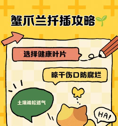 蟹爪兰秋天扦插，避免烂掉的秘诀（如何有效保护蟹爪兰秋天扦插，避免腐烂问题）-第2张图片-绿意生活