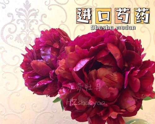 家庭芍药栽培指南（从选址到施肥，轻松打造健康芍药园）-第1张图片-绿意生活