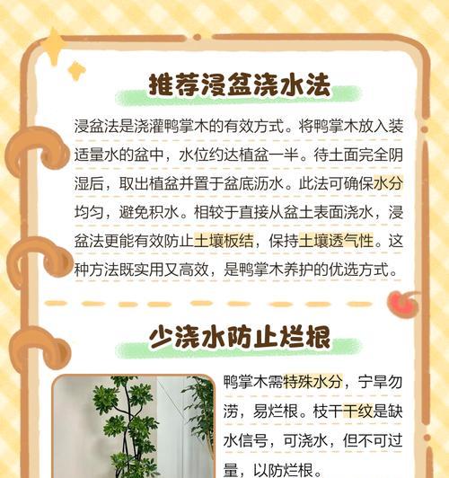 浇水技巧之以鹅掌藤为例（优雅的湿润生活方式与养护方法）-第1张图片-绿意生活