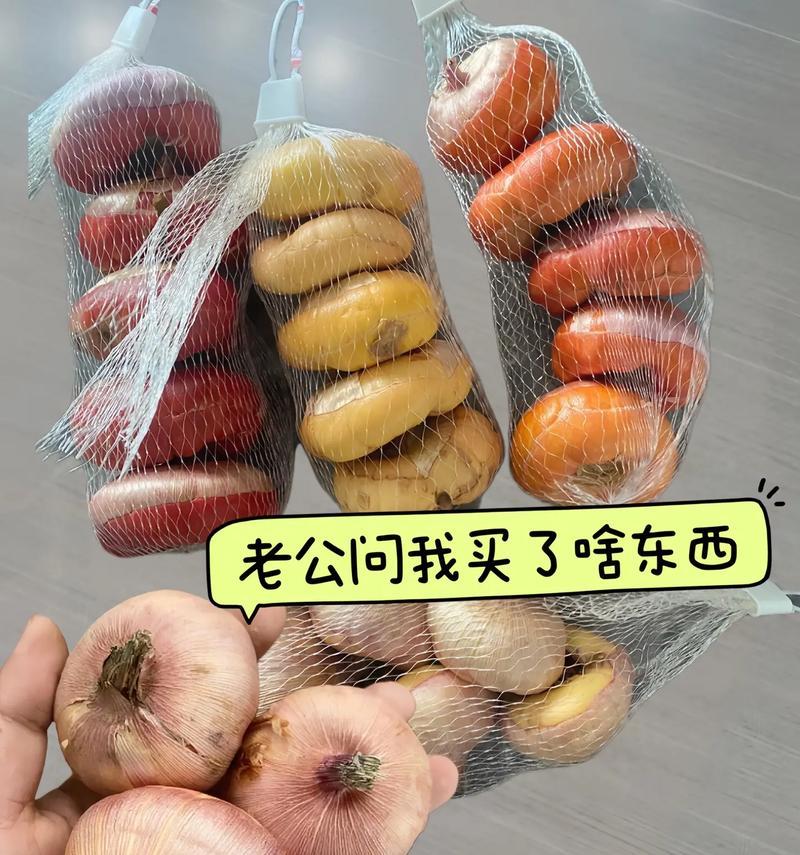 唐菖蒲种球发霉了怎么办？（种球发霉，如何救援唐菖蒲？）-第2张图片-绿意生活