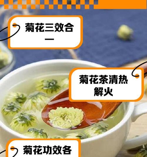 菊花怎样开放的奥秘（探索菊花开放的美丽过程）-第1张图片-绿意生活