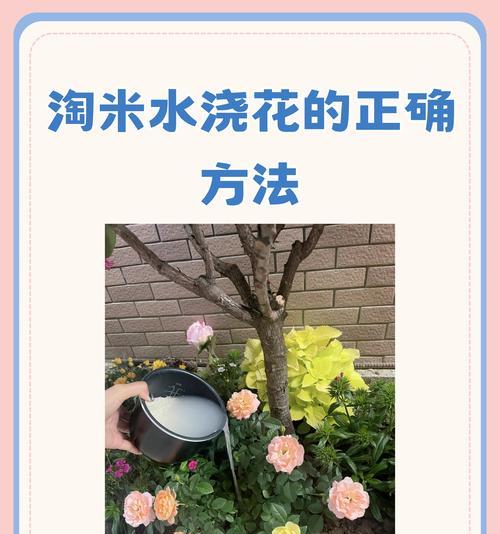 如何正确浇水以帮助刚种的花种子生长？（掌握浇水技巧，让花种子茁壮成长）-第2张图片-绿意生活