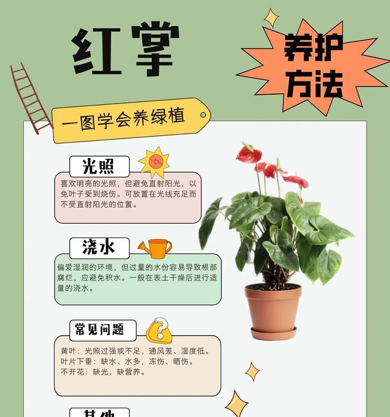 红掌灼伤叶子后的护理方法（如何有效治疗和恢复受损叶子的健康状态）-第1张图片-绿意生活