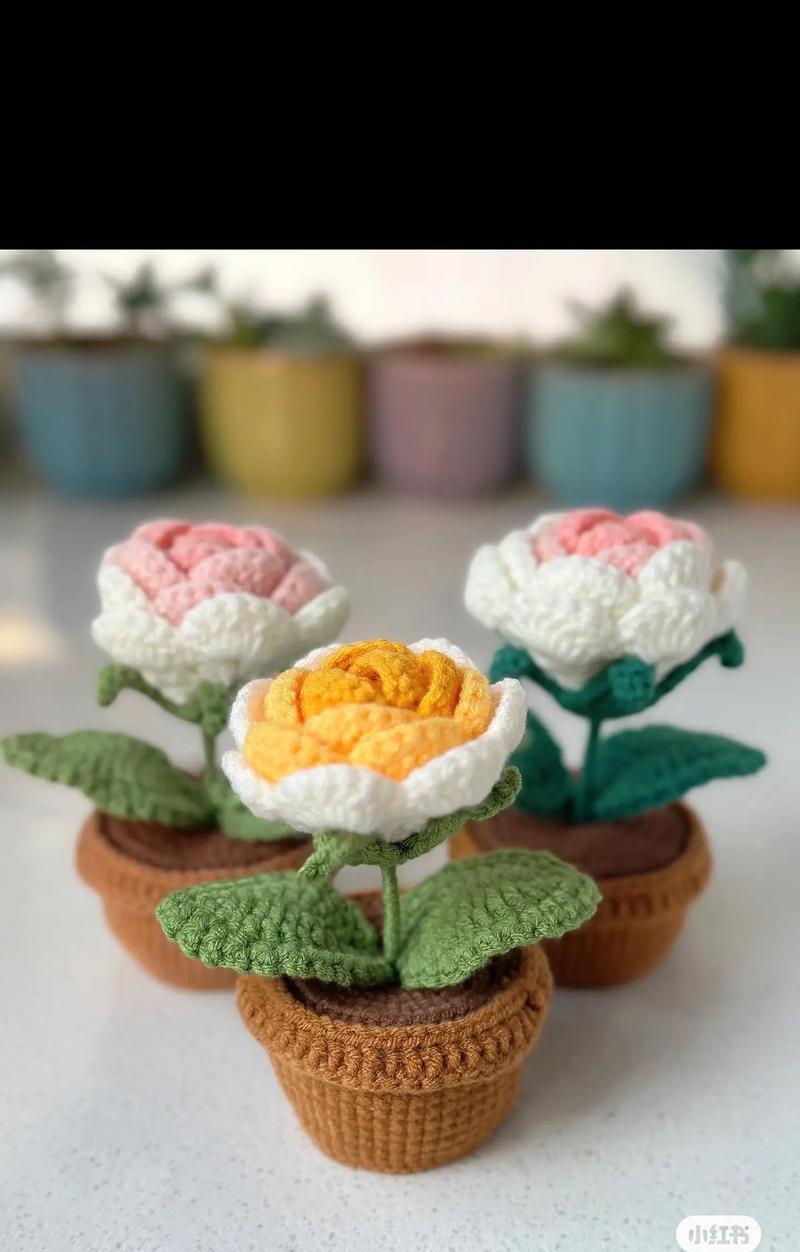 夏季盆栽玫瑰花养护指南（如何正确护理你的盆栽玫瑰花，让它在夏天绽放美丽）-第3张图片-绿意生活