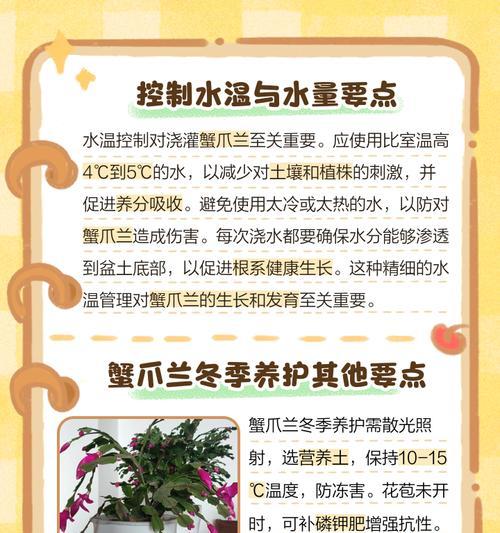 如何让蟹爪莲开花的秘诀（掌握关键技巧，让蟹爪莲绽放绚烂花海）-第1张图片-绿意生活