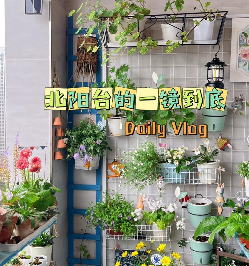 解决阳台种植的光照条件困扰（如何提供适宜的阳台光照以促进植物生长）-第2张图片-绿意生活