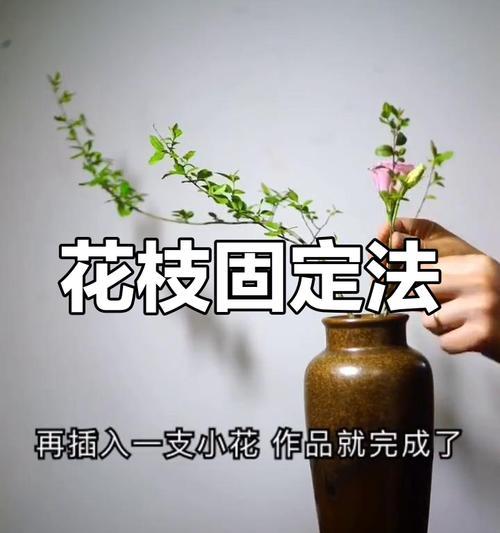 侧枝长得快的方法（植物学家的小妙招让侧枝茁壮成长）-第1张图片-绿意生活