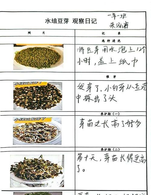 黄豆水培好还是土培好？（探究黄豆种植方法的优缺点）-第3张图片-绿意生活