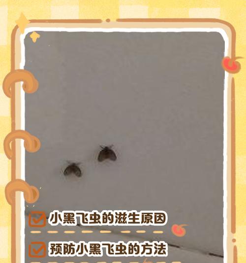 家里花有白色飞虫？原因和处理方法大揭秘！-第1张图片-绿意生活