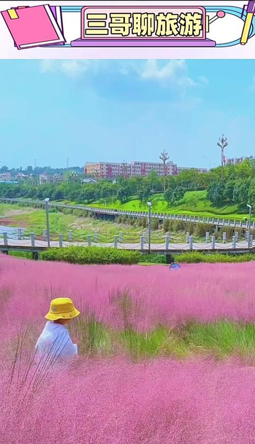 培育粉黛乱子草的技巧与方法（打造独特花园的必备植物——粉黛乱子草）-第2张图片-绿意生活