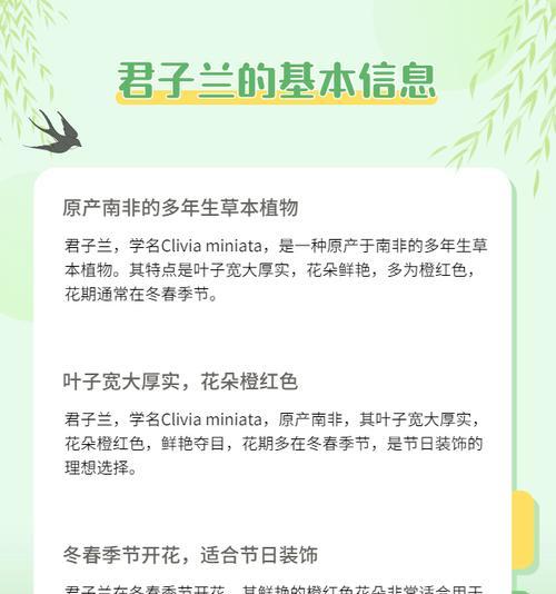 君子兰花怎么养能型号（打造美丽的君子兰花园，享受花草带来的宁静与美好）-第2张图片-绿意生活