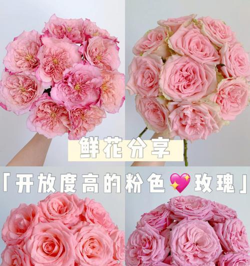 如何正确养护玫瑰花盒？（打造持久美丽的玫瑰花盒，）-第2张图片-绿意生活