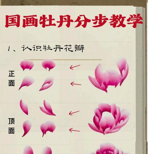 四季牡丹修剪指南（剪枝原则和步骤，保证花期和品质）-第2张图片-绿意生活