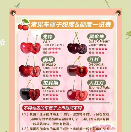 探索车厘子世界（解密车厘子品种大全，了解车厘子的秘密）-第2张图片-绿意生活