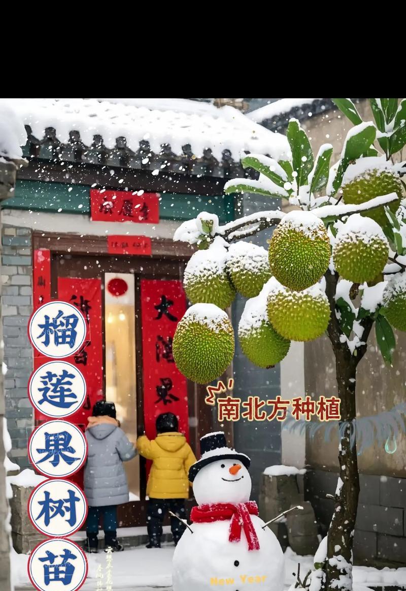 榴莲生长的条件及要求（深入了解榴莲的生长环境）-第3张图片-绿意生活