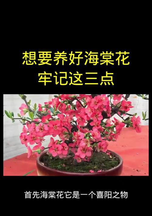 以玉堂花怎么养？（掌握关键养殖技巧，让你的玉堂花长势喜人。）-第3张图片-绿意生活