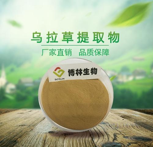 鸟拉草详解（认识鸟拉草，了解它的特点和用途）-第2张图片-绿意生活