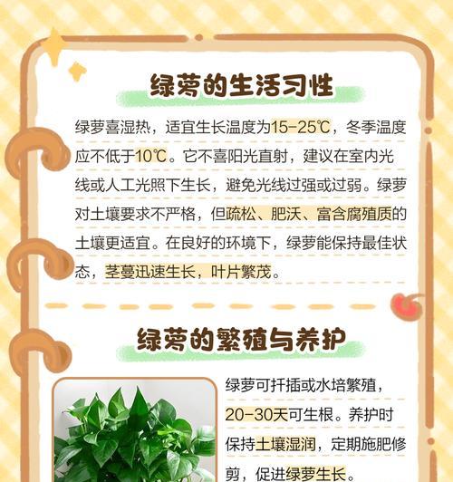 绿萝茎软了怎么办？救救萎靡的绿萝吧！（急救措施和养护建议让绿萝重获活力）-第1张图片-绿意生活